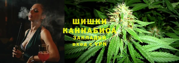 ГАЛЛЮЦИНОГЕННЫЕ ГРИБЫ Покачи