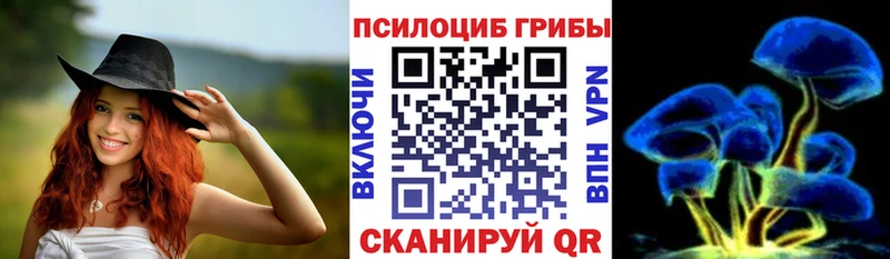Галлюциногенные грибы Psilocybe  kraken ТОР  Новоалтайск 